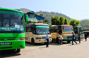 Tourist Buses