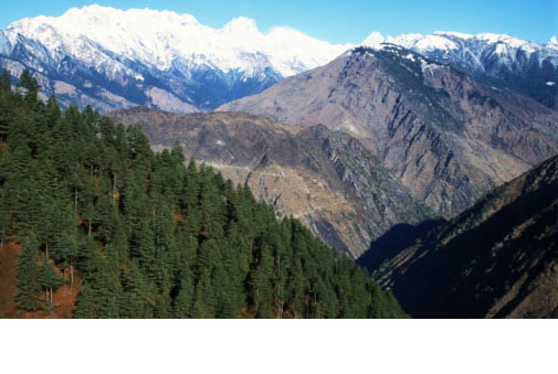 Langtang & Helambu Views