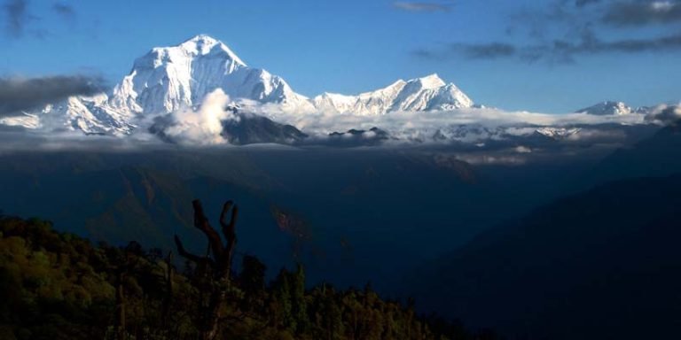 Around Dhaulagiri Trekking