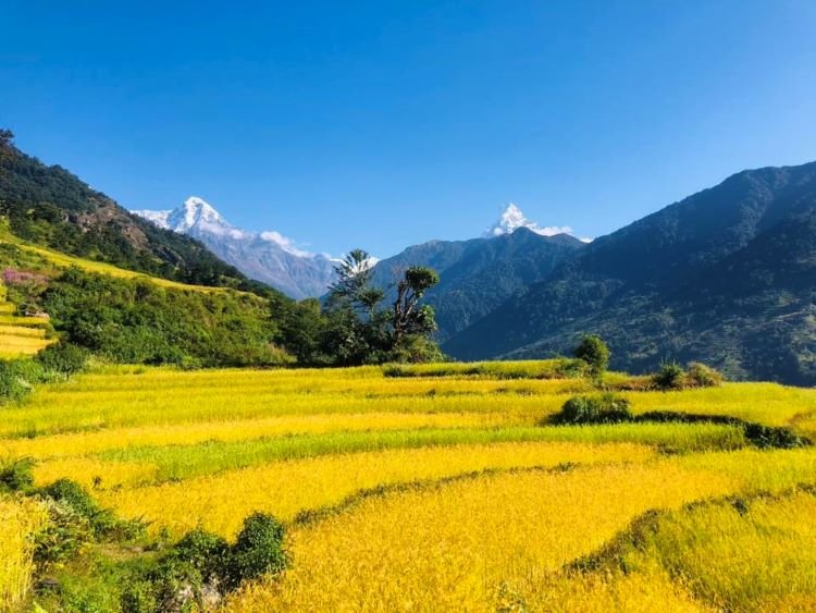trekking in himalaya for beginners