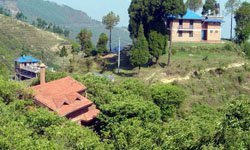 Kakani