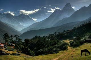 Types of Trekking